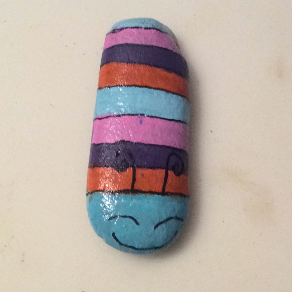 Several Color Bug Rock